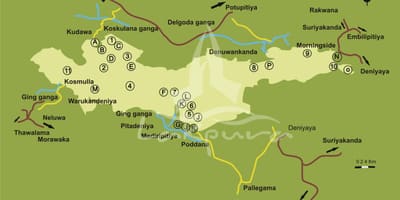 Harta sinharaja Sri Lanka